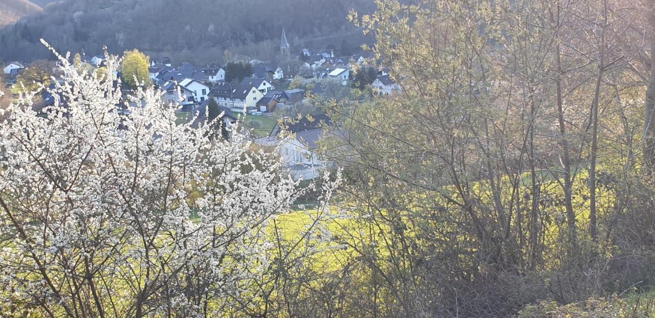Wanderstube Landsonne Apartment Simmerath Exterior foto